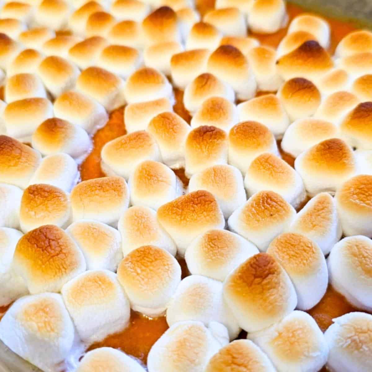 sweet potato casserole
