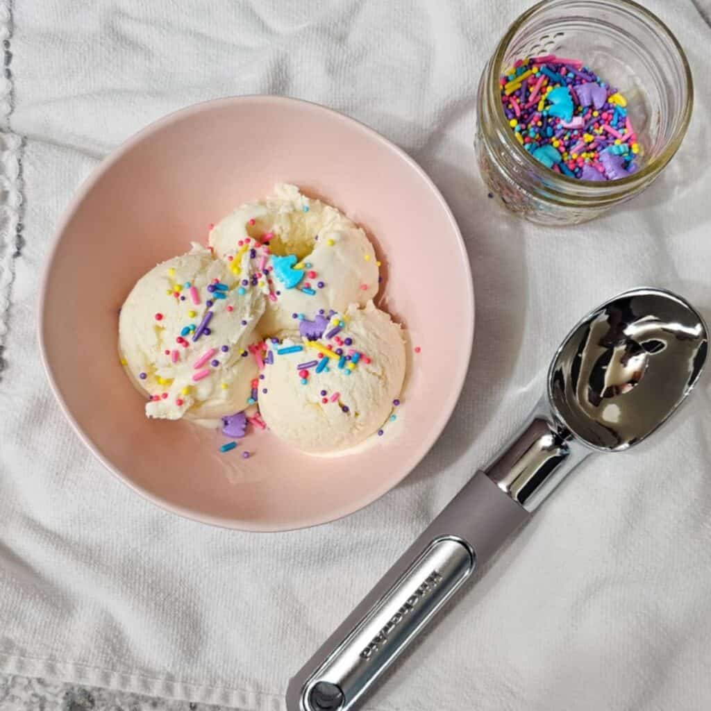 3 Ingredient Egg Free Vanilla Ice Cream Recipe - The Happy Homemaker