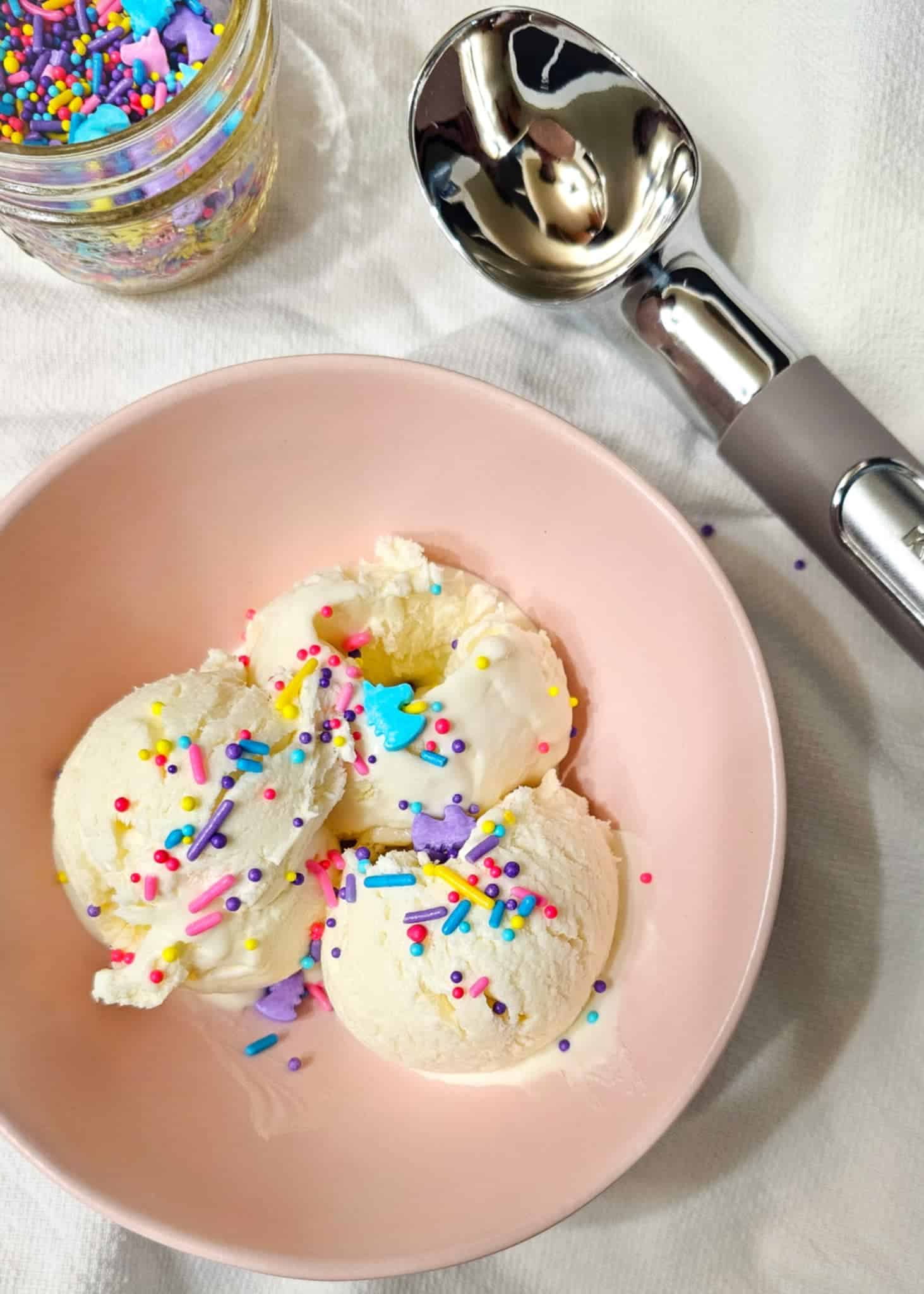 3 Ingredient Egg Free Vanilla Ice Cream Recipe