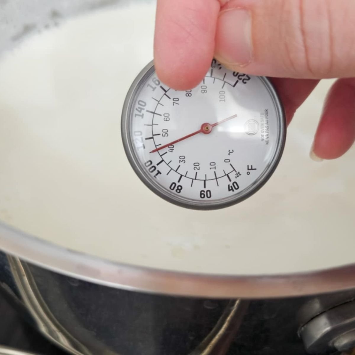 milk in a pot that has cooled to 150 degrees f