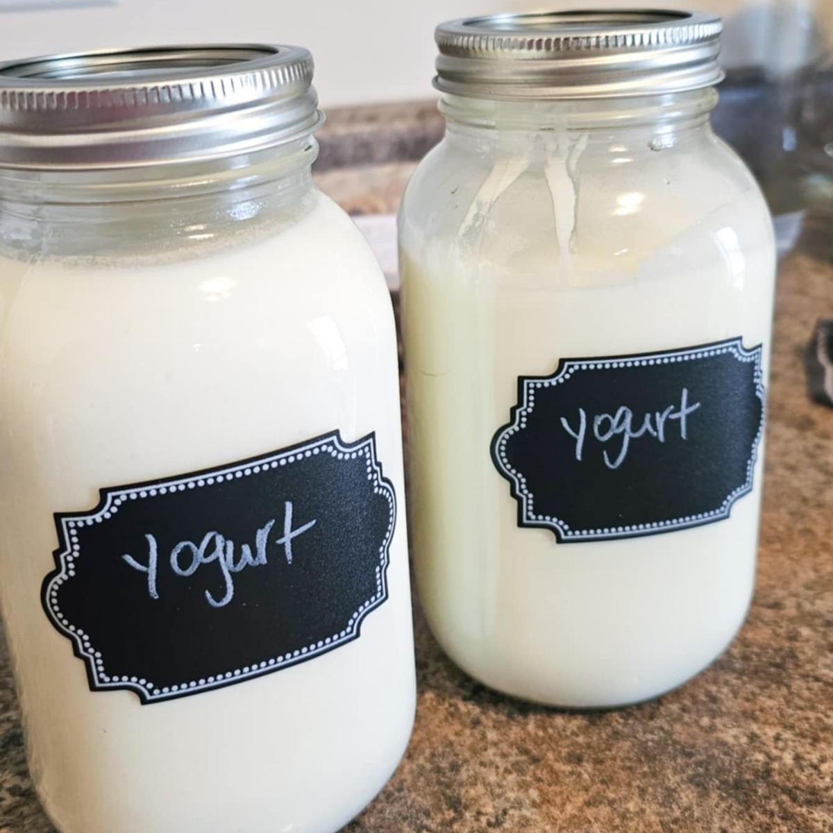 yogurt in two mason jars about to go in the fridge