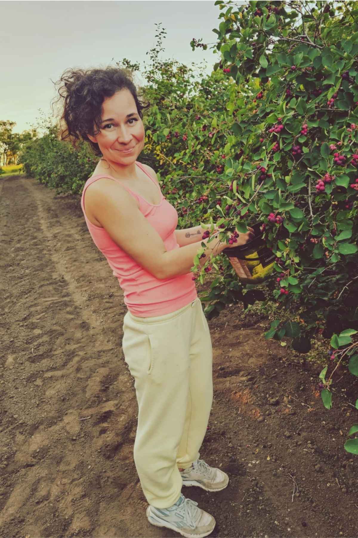 The happy homemaker picking Saskatoon berries on a U-pick farm