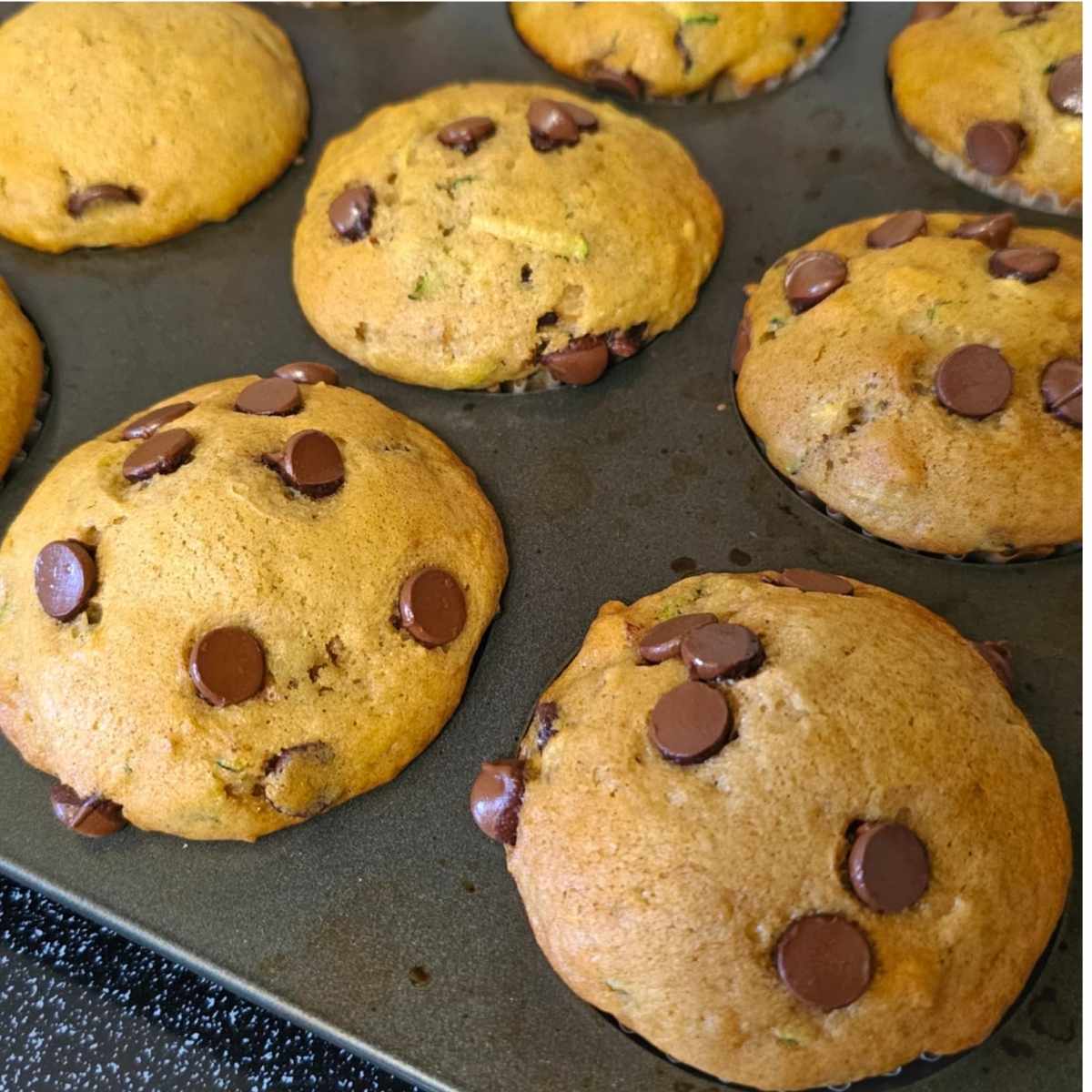 Chocolate chip zucchini muffins in the muffin tins after being baked and cooling for 5 minutes before going onto a wire rack